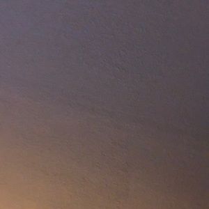 Meet your Posher, Lola